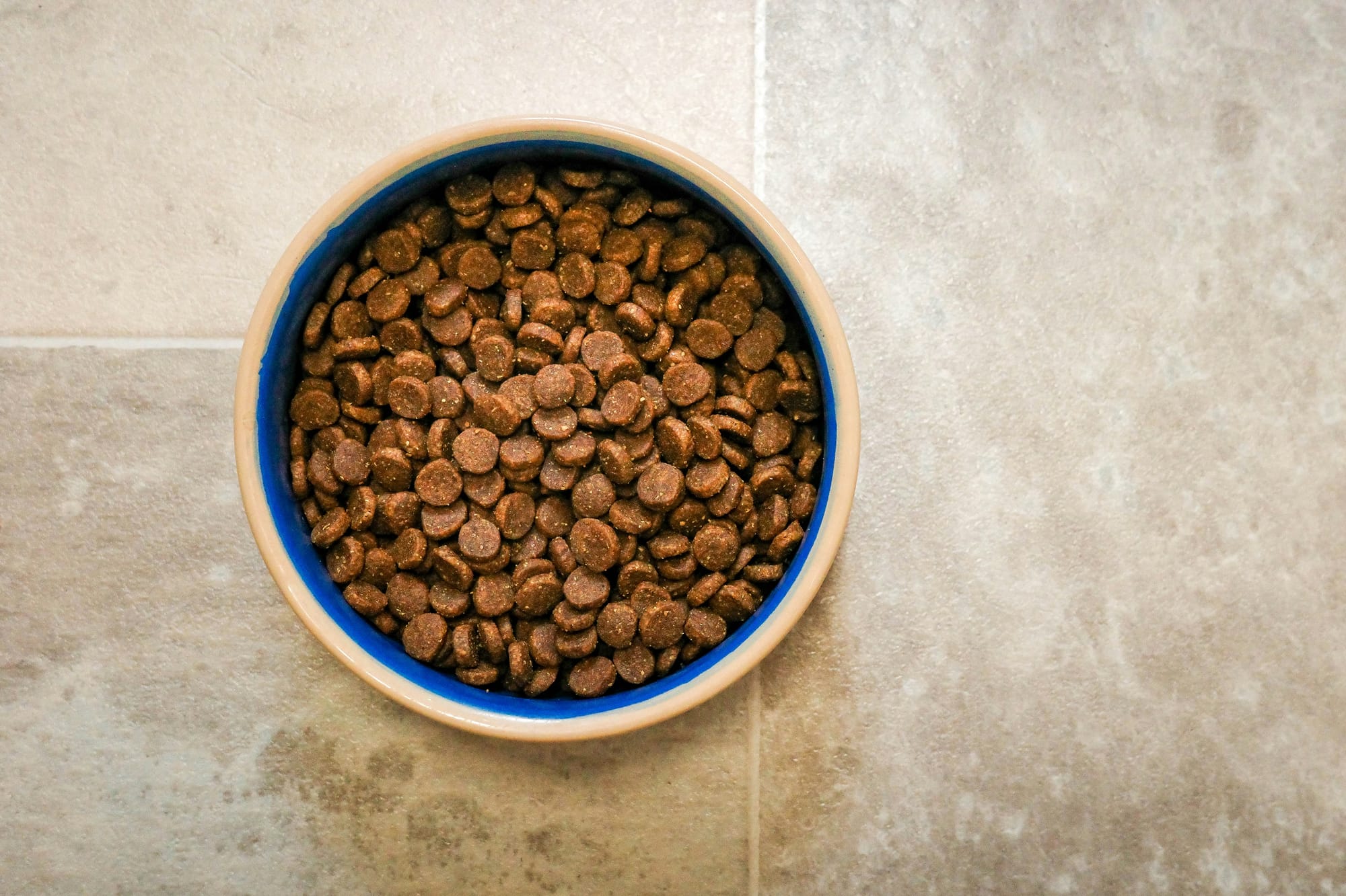 A top-down view of a ceramic dog bowl filled with dry brown kibble, highlighting the different textures and shapes of the processed ingredients and fillers